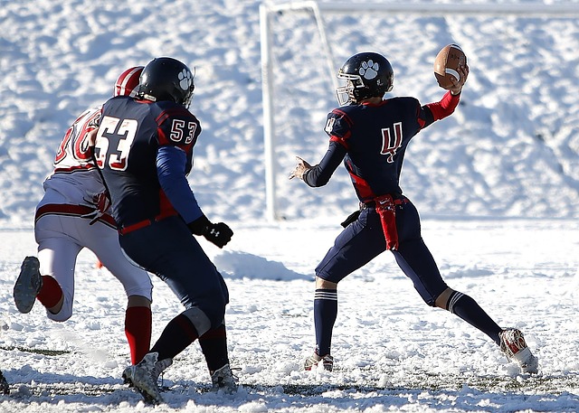 仅提高了球 仅提高了球